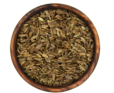 Dill Seeds